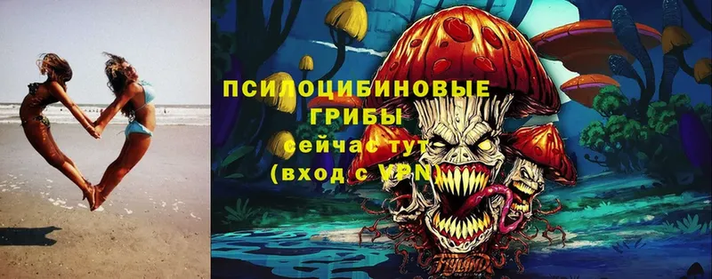 Псилоцибиновые грибы MAGIC MUSHROOMS  Подпорожье 